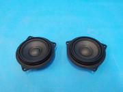 Динамик (пара)