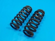 Пружина задняя (комплект)