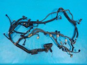 Проводка двигателя