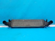 Интеркулер