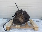 4848493 АКПП (автоматическая КПП) Ford Focus II 2005-2011