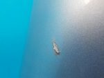 7L6823031D Капот VOLKSWAGEN Touareg 2002-2010