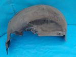 7L6810972A Подкрылок задний правый VOLKSWAGEN Touareg 2002-2010
