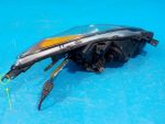 BDG7510L0L Фара левая MAZDA Mazda 3 (BL) 2009-2013