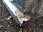 1K5809220 Порог правый VOLKSWAGEN Jetta 5 2005-2011