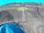 7L6809962N Подкрылок передний правый VOLKSWAGEN Touareg 2002-2010