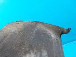 7L6809962N Подкрылок передний правый VOLKSWAGEN Touareg 2002-2010