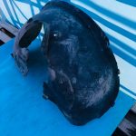 7L6809961F Подкрылок передний левый VOLKSWAGEN Touareg 2002-2010