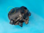 7L6941700E Фара противотуманная правая VOLKSWAGEN Touareg 2002-2010