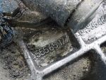 55565177 МКПП (механическая КПП) OPEL Astra H 2004-2010