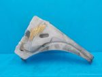 7L0955453E Бачок омывателя VOLKSWAGEN Touareg 1 (7L) 2002-2010