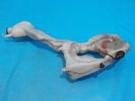 61667157124 Бачок омывателя Mini Cooper Clubman R55 2007-2014