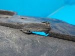 5C68059039B9 Юбка переднего бампера VOLKSWAGEN Jetta 6 2011-2018