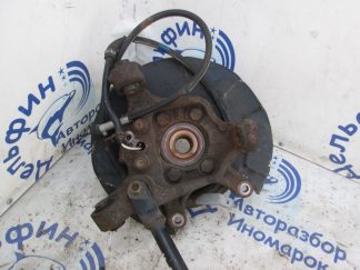 Кулак задний левый
