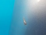 7L6823031D Капот VOLKSWAGEN Touareg 1 (7L) 2002-2010