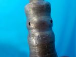 2S6A9G444BA Датчик кислородный Ford Fusion 2002-2012