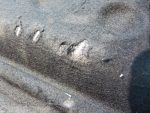 1Z5867769 Полка багажника SKODA Octavia A5 (1Z) 2004-2013