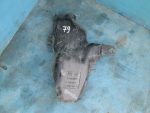 13260579 Бачок омывателя Chevrolet Cruze 2009-2016