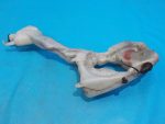 61667157124 Бачок омывателя Mini Cooper Clubman R55 2007-2014