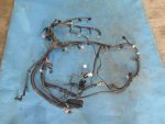 8211106F01 Проводка моторного отсека Camry V40 2006-2011 TOYOTA 