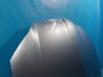 5L0823031 Капот SKODA Yeti 2009-2018