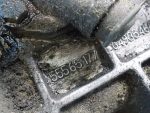 55565177 МКПП (механическая КПП) OPEL Astra H 2004-2010