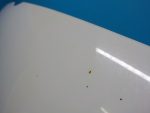 7P6823031 Капот VOLKSWAGEN Touareg 2 NF 2010-2018